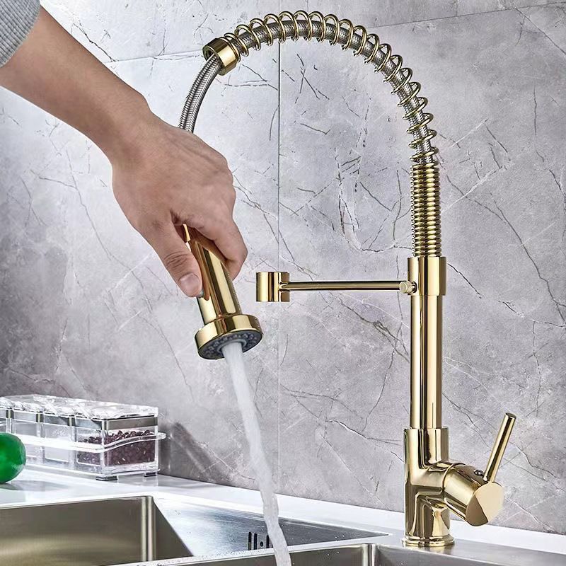 Modern Farmhouse One Handle Spring Spout Kitchen Faucet High Arch Water Filler Clearhalo 'Home Improvement' 'home_improvement' 'home_improvement_kitchen_faucets' 'Kitchen Faucets' 'Kitchen Remodel & Kitchen Fixtures' 'Kitchen Sinks & Faucet Components' 'kitchen_faucets' 1200x1200_461eae1c-044f-4575-9a4f-7c42f94cecb6