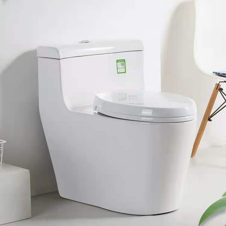 Modern Ceramic Siphon Jet Toilet Bowl Floor Mount Flush Toilet with Toilet Seat Clearhalo 'Bathroom Remodel & Bathroom Fixtures' 'Home Improvement' 'home_improvement' 'home_improvement_toilets' 'Toilets & Bidets' 'Toilets' 1200x1200_46cb818f-9348-4583-85b5-1c503f39736e