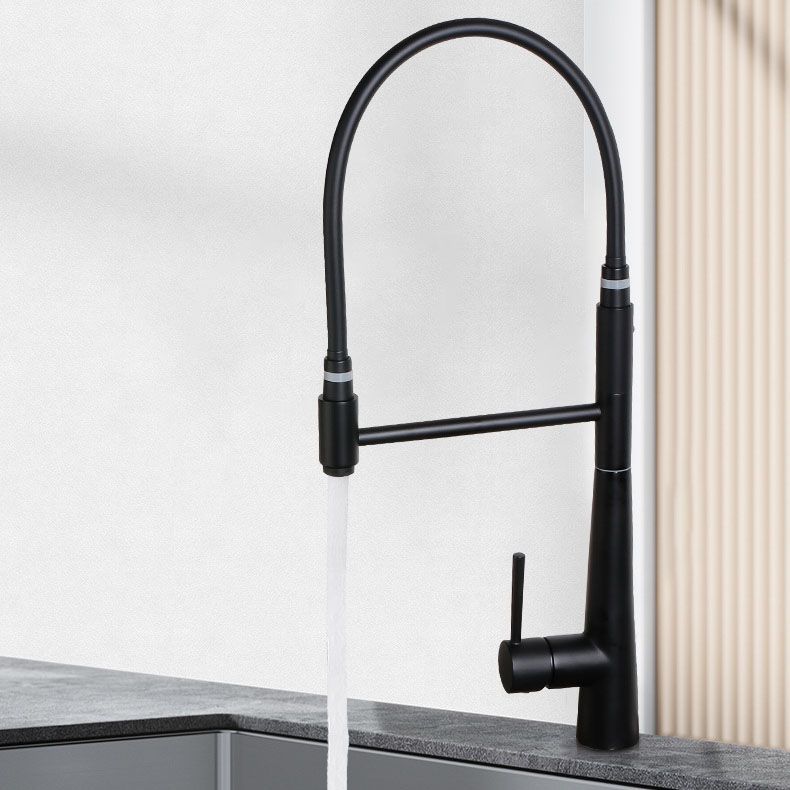 Modern Farmhouse Kitchen Faucet Pull down One Handle High Arch Water Filler Clearhalo 'Home Improvement' 'home_improvement' 'home_improvement_kitchen_faucets' 'Kitchen Faucets' 'Kitchen Remodel & Kitchen Fixtures' 'Kitchen Sinks & Faucet Components' 'kitchen_faucets' 1200x1200_46cc1aac-49ac-439e-b35d-181467a253df