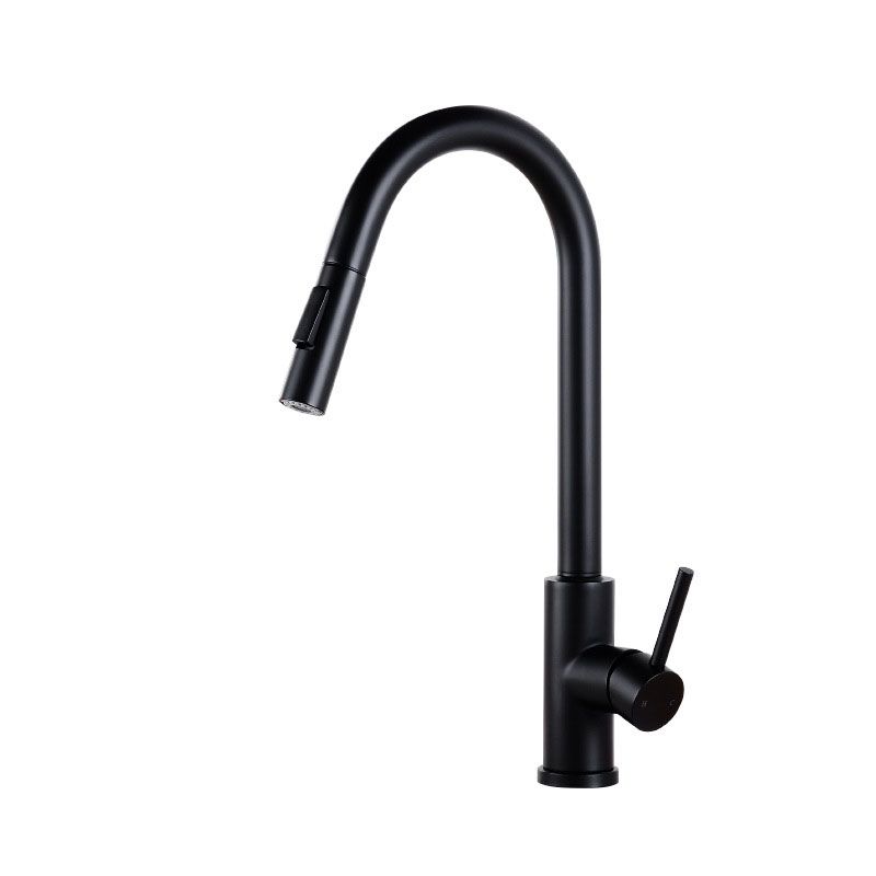 1-Handle Faucet Touch Stainless Steel with Water Dispenser Standard Kitchen Faucet Clearhalo 'Home Improvement' 'home_improvement' 'home_improvement_kitchen_faucets' 'Kitchen Faucets' 'Kitchen Remodel & Kitchen Fixtures' 'Kitchen Sinks & Faucet Components' 'kitchen_faucets' 1200x1200_46e4e5fc-bc27-4cf9-b921-99d511c9c569