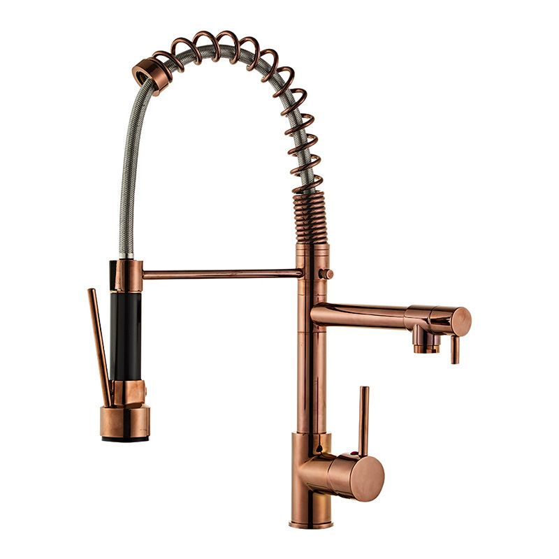 Modern Spring Spout Faucets Handle with Water Dispenser Standard Kitchen Faucets Clearhalo 'Home Improvement' 'home_improvement' 'home_improvement_kitchen_faucets' 'Kitchen Faucets' 'Kitchen Remodel & Kitchen Fixtures' 'Kitchen Sinks & Faucet Components' 'kitchen_faucets' 1200x1200_46ea7331-2135-4896-8bf9-7564435325f4