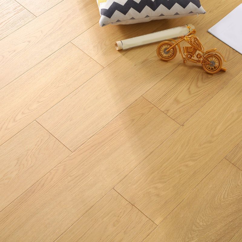 Contemporary Wooden Laminate Flooring Scratch Resistant Laminate Clearhalo 'Flooring 'Home Improvement' 'home_improvement' 'home_improvement_laminate_flooring' 'Laminate Flooring' 'laminate_flooring' Walls and Ceiling' 1200x1200_475c7e75-91ff-4f08-bd2e-6510c3397e93