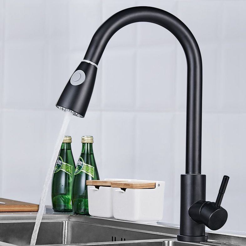 Modern 1-Handle Faucet 304 Stainless Steel with Water Dispenser Pull down Faucet Clearhalo 'Home Improvement' 'home_improvement' 'home_improvement_kitchen_faucets' 'Kitchen Faucets' 'Kitchen Remodel & Kitchen Fixtures' 'Kitchen Sinks & Faucet Components' 'kitchen_faucets' 1200x1200_4786a340-f142-411b-b7a9-e776abf2c864