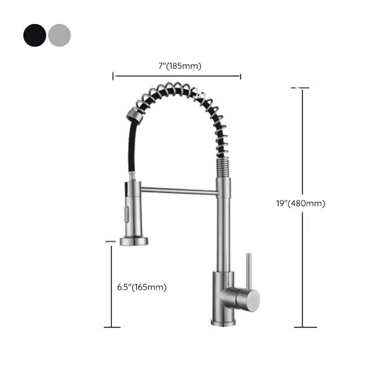 Modern Spring Spout Faucets 1-Handle 1-Hole with Water Dispenser Standard Kitchen Faucets Clearhalo 'Home Improvement' 'home_improvement' 'home_improvement_kitchen_faucets' 'Kitchen Faucets' 'Kitchen Remodel & Kitchen Fixtures' 'Kitchen Sinks & Faucet Components' 'kitchen_faucets' 1200x1200_478c2be7-716c-4e11-848f-fca1ef03ae14