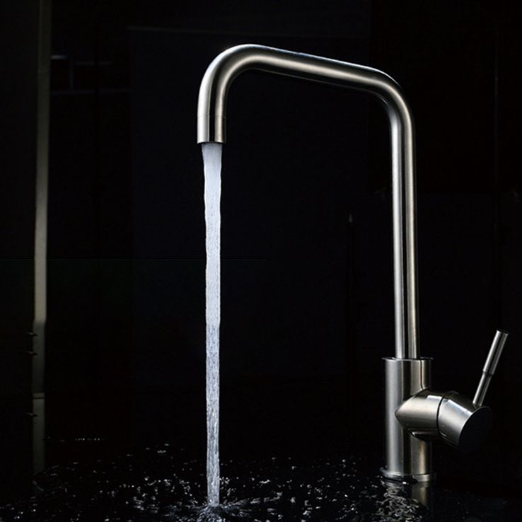 Traditional 1-Handle Faucets Stainless Steel Standard Kitchen Faucets Clearhalo 'Home Improvement' 'home_improvement' 'home_improvement_kitchen_faucets' 'Kitchen Faucets' 'Kitchen Remodel & Kitchen Fixtures' 'Kitchen Sinks & Faucet Components' 'kitchen_faucets' 1200x1200_47d9122d-e428-4903-b280-9699d1cf9399