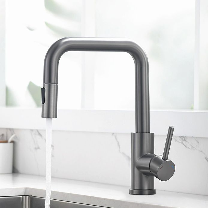 Modern Pull Out Single Rotary Switch Kitchen Faucet High Profile Faucet Clearhalo 'Home Improvement' 'home_improvement' 'home_improvement_kitchen_faucets' 'Kitchen Faucets' 'Kitchen Remodel & Kitchen Fixtures' 'Kitchen Sinks & Faucet Components' 'kitchen_faucets' 1200x1200_48073aec-f594-4dbf-a0fe-1fcf7d4079f9