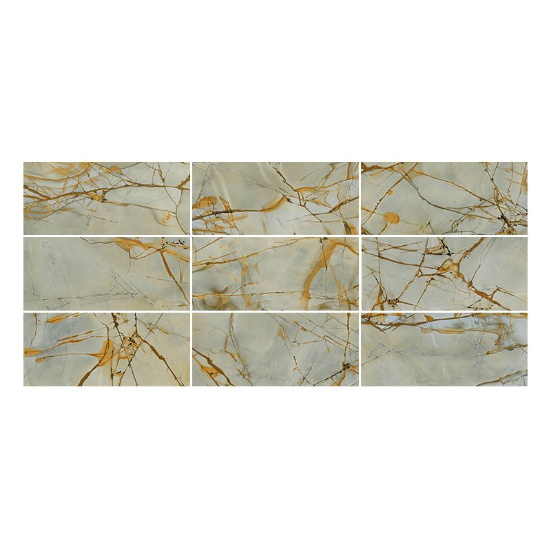Patterned Floor and Wall Tile Ceramic Rectangular Shape Floor and Wall Tile Clearhalo 'Floor Tiles & Wall Tiles' 'floor_tiles_wall_tiles' 'Flooring 'Home Improvement' 'home_improvement' 'home_improvement_floor_tiles_wall_tiles' Walls and Ceiling' 1200x1200_4894a40e-3838-42d0-8831-38c5285dd023