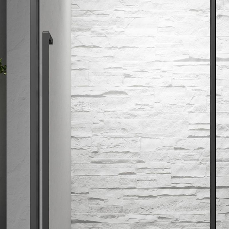 Gray Narrow Side Shower Door Single Sliding Door Tempered Glass Shower Door Clearhalo 'Bathroom Remodel & Bathroom Fixtures' 'Home Improvement' 'home_improvement' 'home_improvement_shower_tub_doors' 'Shower and Tub Doors' 'shower_tub_doors' 'Showers & Bathtubs' 1200x1200_49d1d806-579d-40ee-9423-705359d3e54a