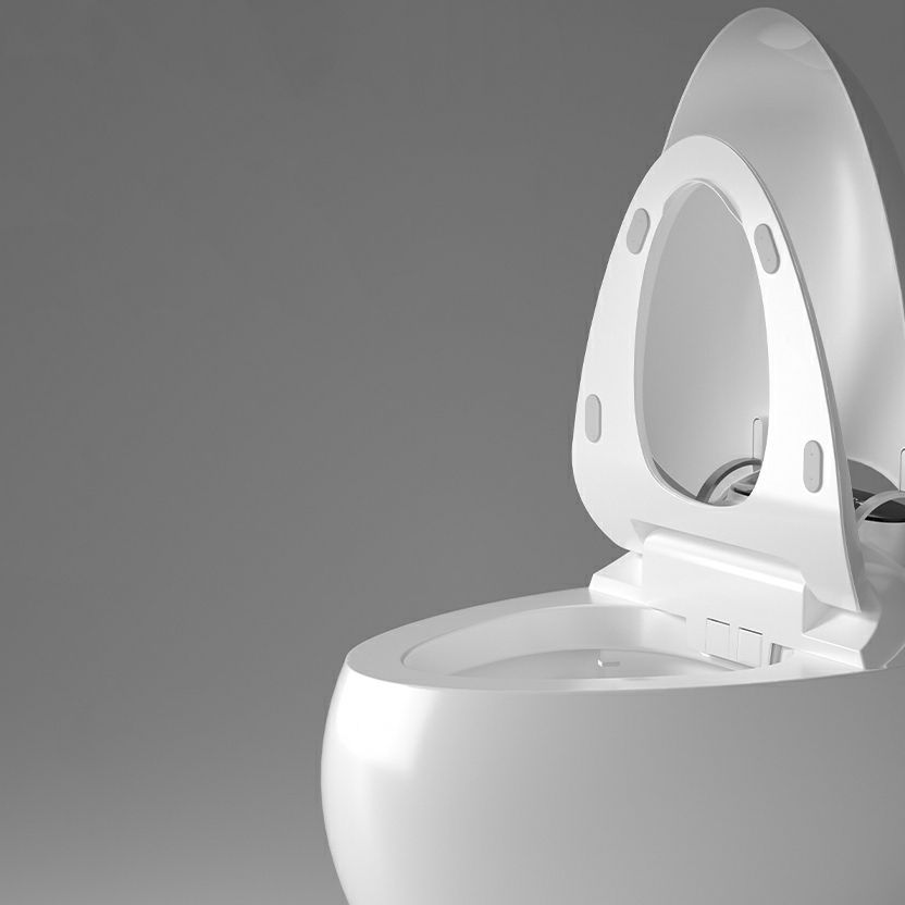 Ceramic Round Stain Resistant Smart Bidet with Temperature Control Clearhalo 'Bathroom Remodel & Bathroom Fixtures' 'Bidets' 'Home Improvement' 'home_improvement' 'home_improvement_bidets' 'Toilets & Bidets' 1200x1200_4ad57c99-38e3-4509-b954-7e758c367117