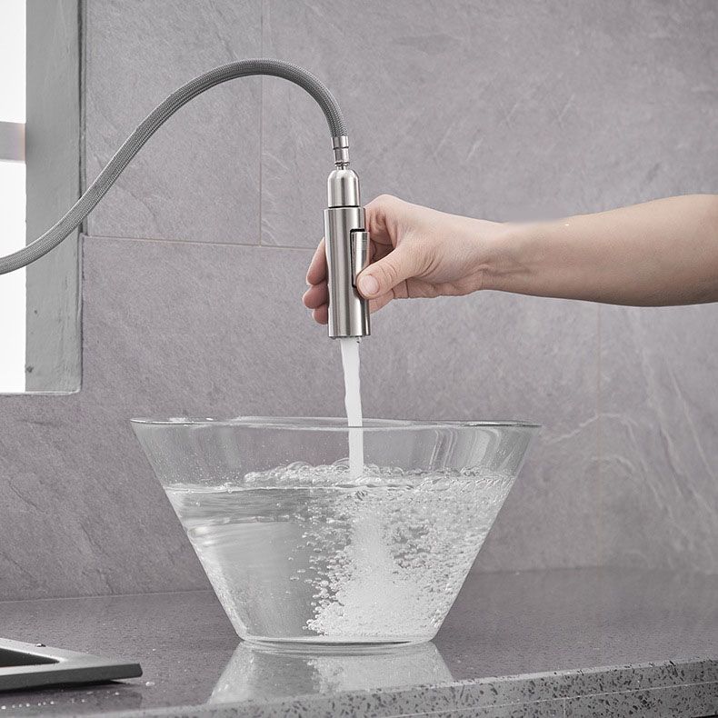 1-Handle Faucet Touch Stainless Steel with Water Dispenser Standard Kitchen Faucet Clearhalo 'Home Improvement' 'home_improvement' 'home_improvement_kitchen_faucets' 'Kitchen Faucets' 'Kitchen Remodel & Kitchen Fixtures' 'Kitchen Sinks & Faucet Components' 'kitchen_faucets' 1200x1200_4adf2ea0-08f3-4e22-9a94-04e16950d9a1