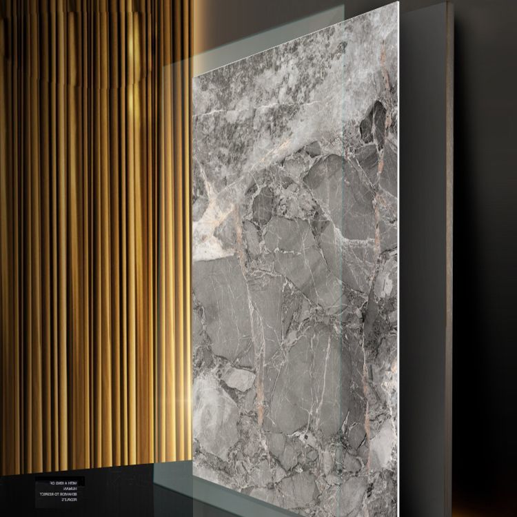 Glazed Floor and Wall Tile Indoor Floor and Wall Tile with Rectangular Shape Clearhalo 'Floor Tiles & Wall Tiles' 'floor_tiles_wall_tiles' 'Flooring 'Home Improvement' 'home_improvement' 'home_improvement_floor_tiles_wall_tiles' Walls and Ceiling' 1200x1200_4c251ed9-0c41-48b5-b477-ddebed0c7235