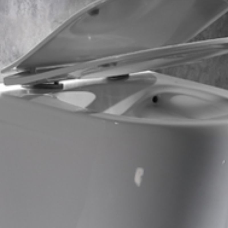 Modern Wall Mounted Flush Toilet White Toilet Bowl with Seat for Washroom Clearhalo 'Bathroom Remodel & Bathroom Fixtures' 'Home Improvement' 'home_improvement' 'home_improvement_toilets' 'Toilets & Bidets' 'Toilets' 1200x1200_4c91a58c-d0fe-431f-8eef-50af1dec86e0