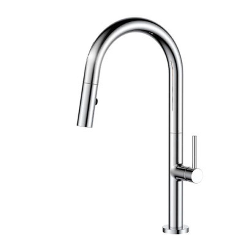 Pull Down Kitchen Faucet Single Handle 2-Function Faucet with Pull Out Sprayer Clearhalo 'Home Improvement' 'home_improvement' 'home_improvement_kitchen_faucets' 'Kitchen Faucets' 'Kitchen Remodel & Kitchen Fixtures' 'Kitchen Sinks & Faucet Components' 'kitchen_faucets' 1200x1200_4d3ec380-6098-4136-91c9-f39603e05928