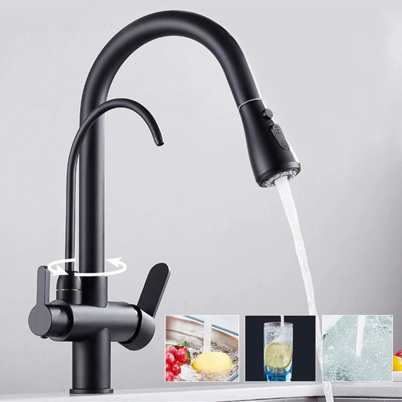 Modern 2-Handle Faucets Copper with Water Dispenser Standard Kitchen Faucets Clearhalo 'Home Improvement' 'home_improvement' 'home_improvement_kitchen_faucets' 'Kitchen Faucets' 'Kitchen Remodel & Kitchen Fixtures' 'Kitchen Sinks & Faucet Components' 'kitchen_faucets' 1200x1200_4d7500d8-bff4-437c-b7cc-051c3e4da478