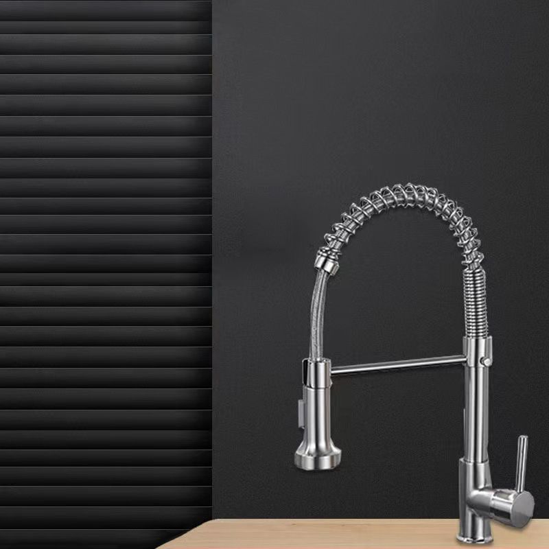 Modern Farmhouse One Handle Spring Spout Kitchen Faucet High Arch Water Filler Clearhalo 'Home Improvement' 'home_improvement' 'home_improvement_kitchen_faucets' 'Kitchen Faucets' 'Kitchen Remodel & Kitchen Fixtures' 'Kitchen Sinks & Faucet Components' 'kitchen_faucets' 1200x1200_4df1c829-1cf5-42ea-9403-a317bf118413