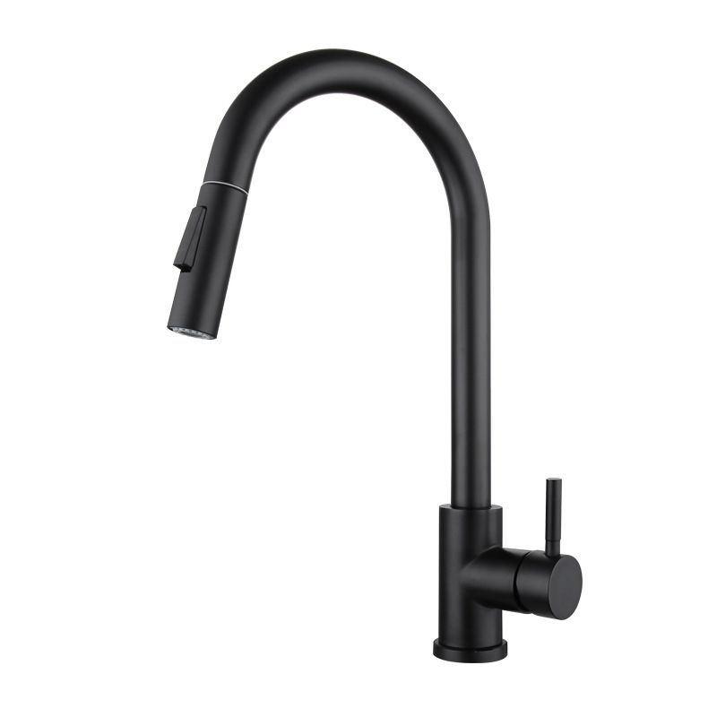 Traditional Pull down Kitchen Faucet Single Handle Faucet with Pull out Sprayer Clearhalo 'Home Improvement' 'home_improvement' 'home_improvement_kitchen_faucets' 'Kitchen Faucets' 'Kitchen Remodel & Kitchen Fixtures' 'Kitchen Sinks & Faucet Components' 'kitchen_faucets' 1200x1200_4df6951a-d0fa-42e9-be57-ee8be324f611