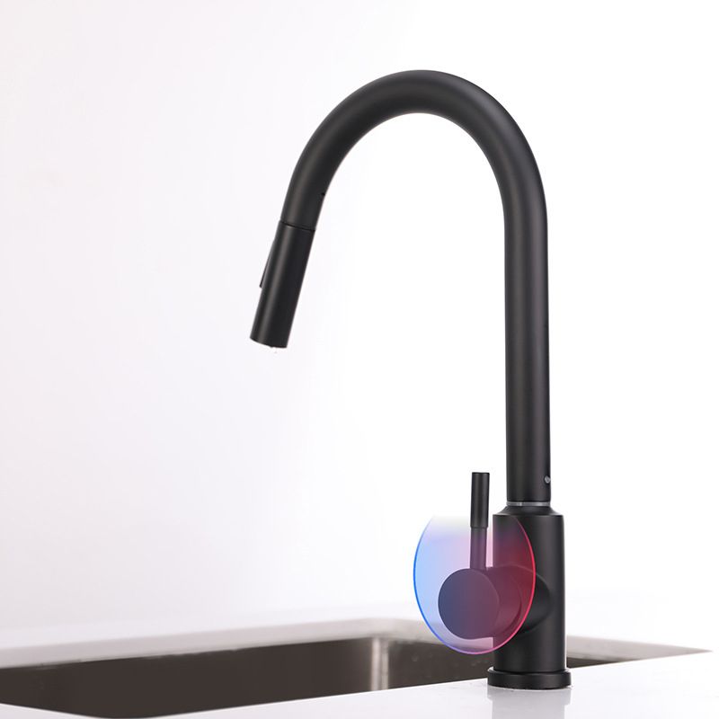 Modern 1-Handle Faucets Stainless Steel Gooseneck with Pull Out Sprayer Faucets Clearhalo 'Home Improvement' 'home_improvement' 'home_improvement_kitchen_faucets' 'Kitchen Faucets' 'Kitchen Remodel & Kitchen Fixtures' 'Kitchen Sinks & Faucet Components' 'kitchen_faucets' 1200x1200_4dfb8091-9744-49ab-8e11-41749aa2ac49
