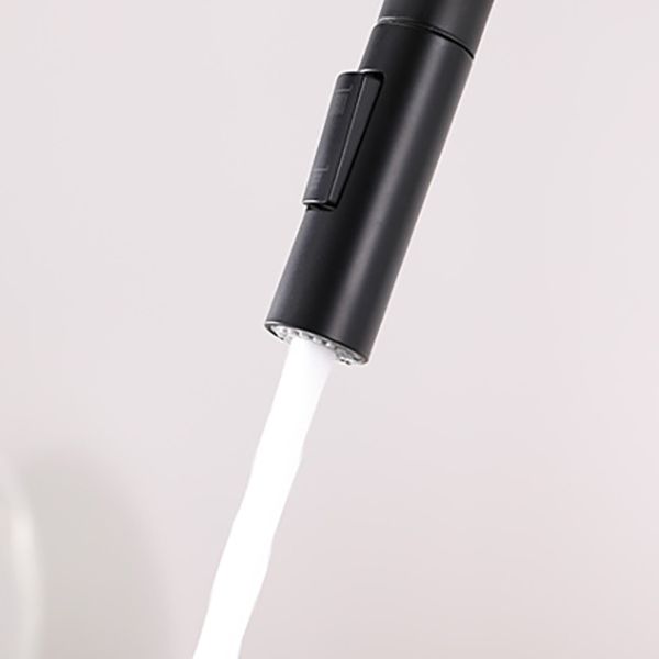 Modern 1-Handle Faucets Stainless Steel Gooseneck with Pull Out Sprayer Faucets Clearhalo 'Home Improvement' 'home_improvement' 'home_improvement_kitchen_faucets' 'Kitchen Faucets' 'Kitchen Remodel & Kitchen Fixtures' 'Kitchen Sinks & Faucet Components' 'kitchen_faucets' 1200x1200_4e16e8e6-26d7-4dea-9a42-2645edb24956