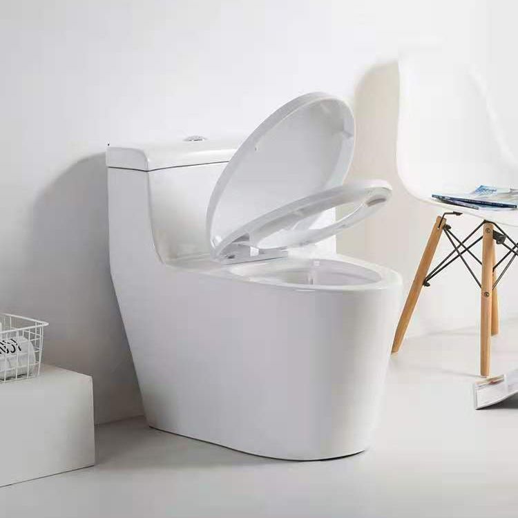 Modern Ceramic Siphon Jet Toilet Bowl Floor Mount Flush Toilet with Toilet Seat Clearhalo 'Bathroom Remodel & Bathroom Fixtures' 'Home Improvement' 'home_improvement' 'home_improvement_toilets' 'Toilets & Bidets' 'Toilets' 1200x1200_4f5b339c-56bb-48e2-b33b-57fdd9eca287