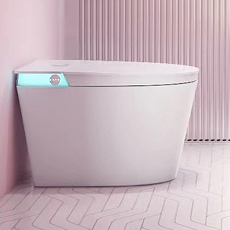 Elongated Floor Standing Bidet Deodorizing and Antimicrobial Floor Mount Bidet Clearhalo 'Bathroom Remodel & Bathroom Fixtures' 'Bidets' 'Home Improvement' 'home_improvement' 'home_improvement_bidets' 'Toilets & Bidets' 1200x1200_4f643494-c2eb-49ee-b069-7c58c20c2d5e