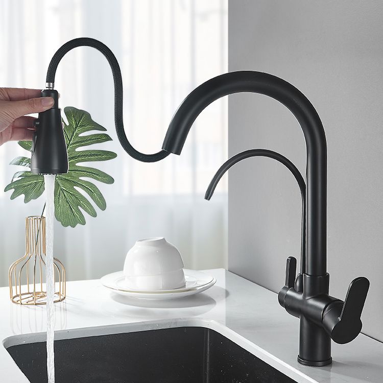 Contemporary Two Handles Kitchen Faucet Double Faucet 1-Hold Faucet Clearhalo 'Home Improvement' 'home_improvement' 'home_improvement_kitchen_faucets' 'Kitchen Faucets' 'Kitchen Remodel & Kitchen Fixtures' 'Kitchen Sinks & Faucet Components' 'kitchen_faucets' 1200x1200_505998b9-6ad2-424d-b0c2-6b673ea2f6c8