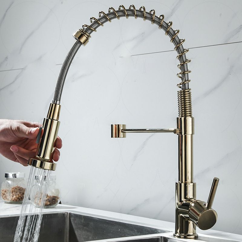 Modern Farmhouse Spring Spout One Lever Kitchen Faucet High Arch Water Filler Clearhalo 'Home Improvement' 'home_improvement' 'home_improvement_kitchen_faucets' 'Kitchen Faucets' 'Kitchen Remodel & Kitchen Fixtures' 'Kitchen Sinks & Faucet Components' 'kitchen_faucets' 1200x1200_5089460d-a841-440c-a043-81aa8bc13089