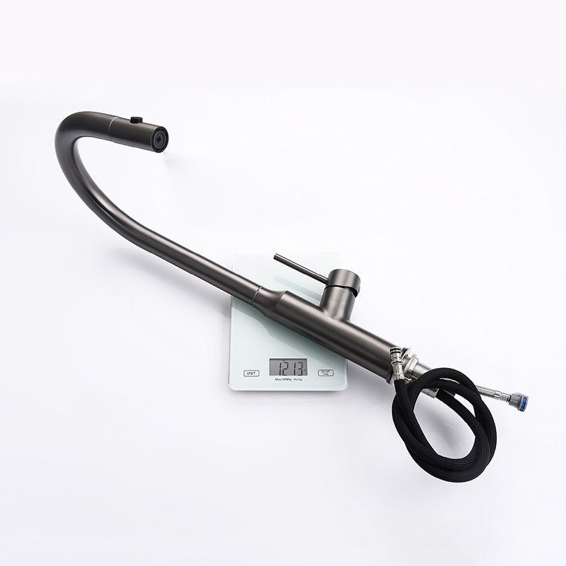 Modern 1-Handle Faucets Stainless Steel with Water Dispenser Pull down Faucets Clearhalo 'Home Improvement' 'home_improvement' 'home_improvement_kitchen_faucets' 'Kitchen Faucets' 'Kitchen Remodel & Kitchen Fixtures' 'Kitchen Sinks & Faucet Components' 'kitchen_faucets' 1200x1200_51da3323-76c8-42fd-a2d1-8968cc12151b