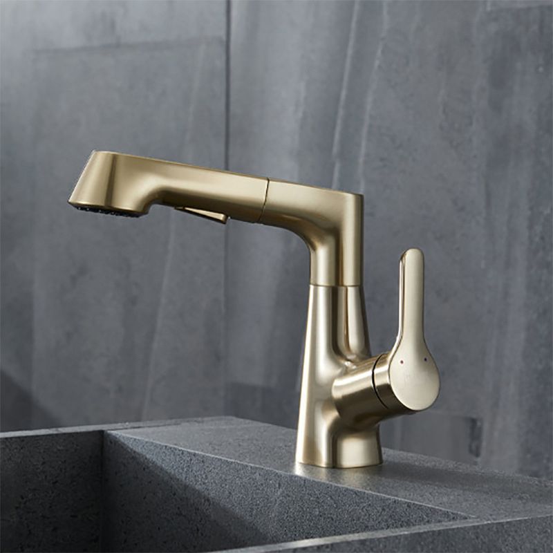 Contemporary Kitchen Faucet Single Handle 2-Function Faucet with Pull out Sprayer Clearhalo 'Home Improvement' 'home_improvement' 'home_improvement_kitchen_faucets' 'Kitchen Faucets' 'Kitchen Remodel & Kitchen Fixtures' 'Kitchen Sinks & Faucet Components' 'kitchen_faucets' 1200x1200_52918f0f-f557-4394-8dda-fc126d68522d