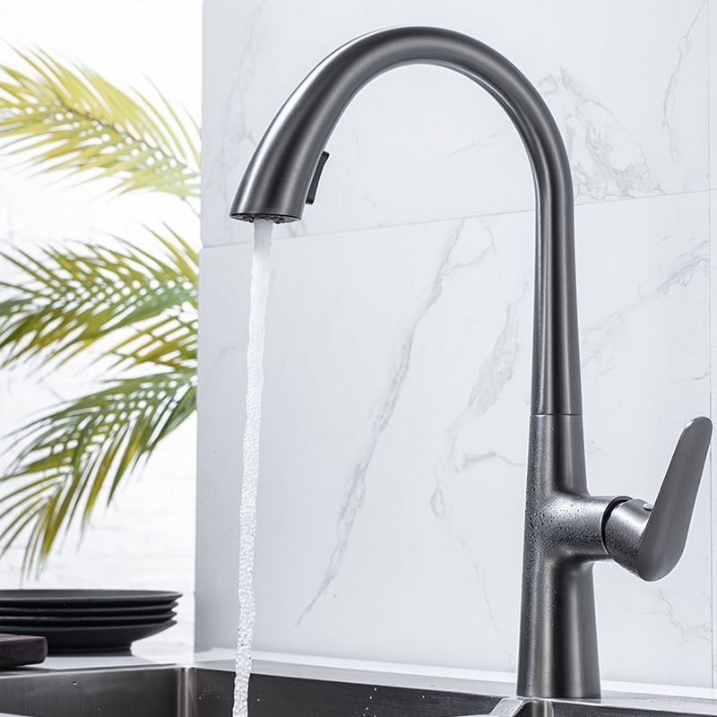Single Handle Kitchen Faucet Pull Down Faucet with Pull out Sprayer Clearhalo 'Home Improvement' 'home_improvement' 'home_improvement_kitchen_faucets' 'Kitchen Faucets' 'Kitchen Remodel & Kitchen Fixtures' 'Kitchen Sinks & Faucet Components' 'kitchen_faucets' 1200x1200_55557ff3-ddd7-4d04-9274-2ea46ef4d7b3