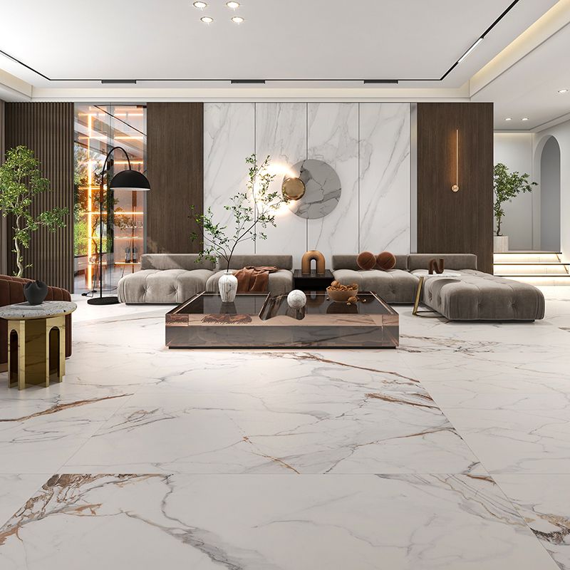 Indoor Wall & Floor Tile Porcelain Floor and Wall Tile with Rectangular Shape Clearhalo 'Floor Tiles & Wall Tiles' 'floor_tiles_wall_tiles' 'Flooring 'Home Improvement' 'home_improvement' 'home_improvement_floor_tiles_wall_tiles' Walls and Ceiling' 1200x1200_55720c84-9ce4-4b05-a6c6-0992316fabac