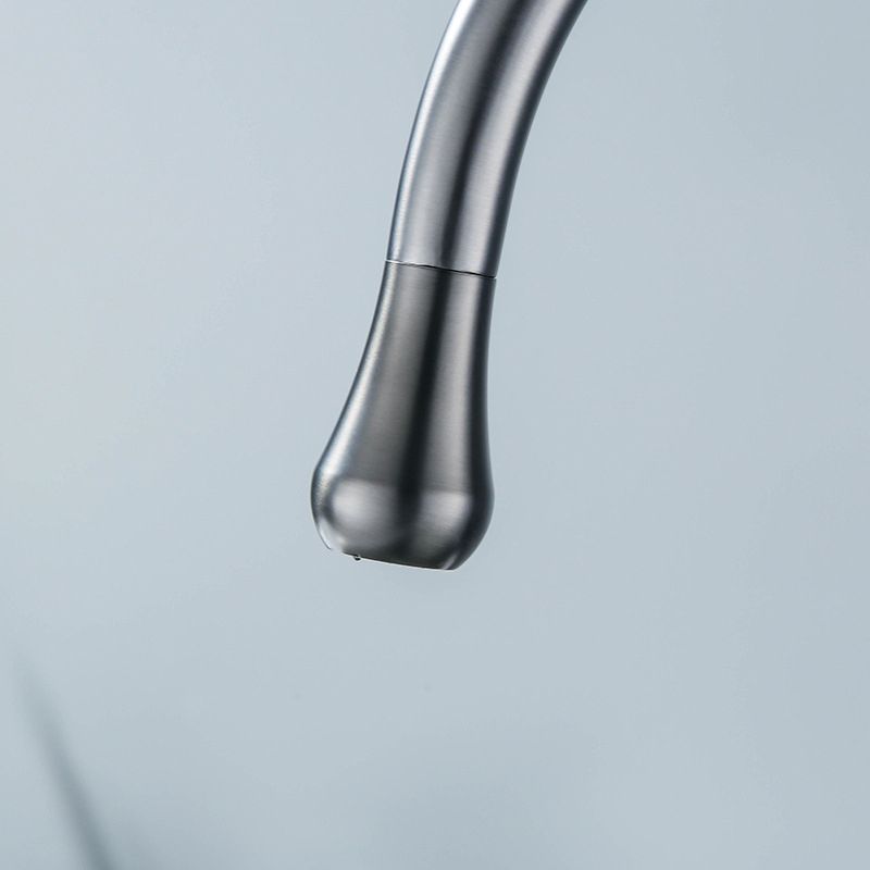 Modern 1-Handle Faucets with Water Dispenser Standard Kitchen Faucets Clearhalo 'Home Improvement' 'home_improvement' 'home_improvement_kitchen_faucets' 'Kitchen Faucets' 'Kitchen Remodel & Kitchen Fixtures' 'Kitchen Sinks & Faucet Components' 'kitchen_faucets' 1200x1200_5591746c-f0fc-4a2b-bf15-6922626a78ae