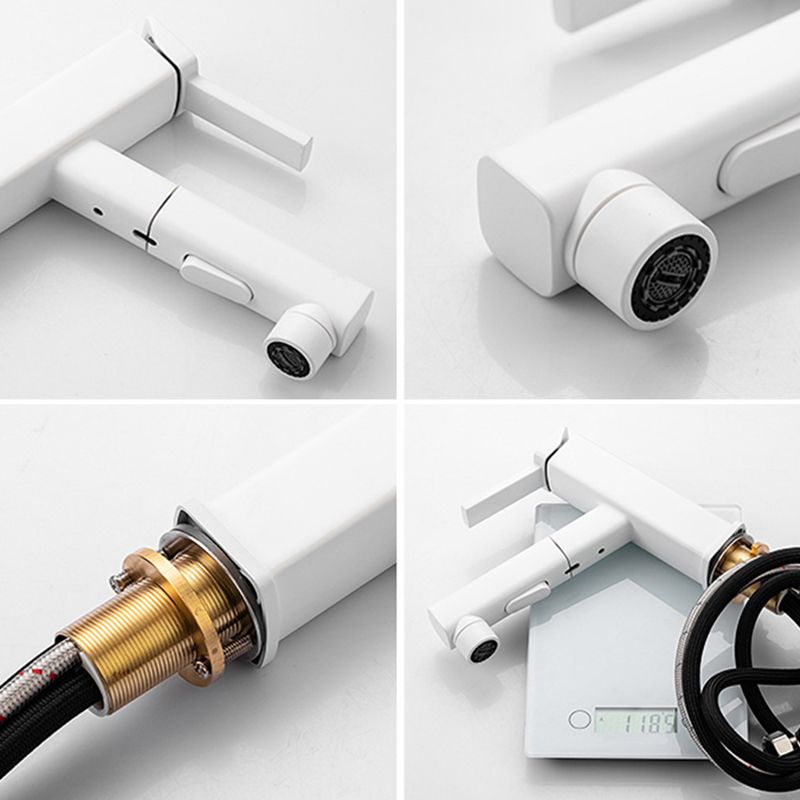 Lever Handle Faucet Pull-out Vessel Sink Faucet with Swivel Spout Clearhalo 'Bathroom Remodel & Bathroom Fixtures' 'Bathroom Sink Faucets' 'Bathroom Sinks & Faucet Components' 'bathroom_sink_faucets' 'Home Improvement' 'home_improvement' 'home_improvement_bathroom_sink_faucets' 1200x1200_56341a7f-f5b2-49fd-8fc9-7d285daf1467