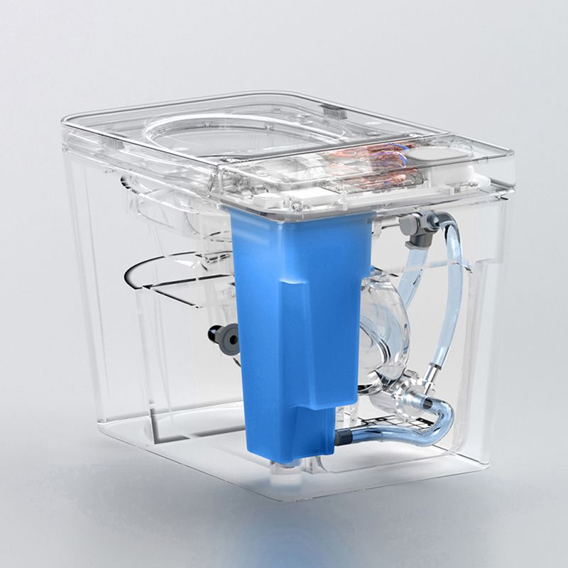 Modern Floor Mounted Flush Toilet Siphon Jet Urine Toilet with Heated Seat for Bathroom Clearhalo 'Bathroom Remodel & Bathroom Fixtures' 'Home Improvement' 'home_improvement' 'home_improvement_toilets' 'Toilets & Bidets' 'Toilets' 1200x1200_5638d2d2-c474-4c52-af1f-8ba678120b88