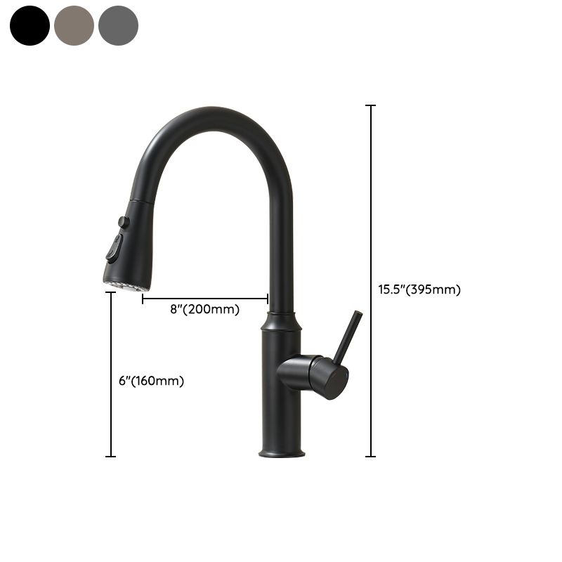 Modern Pull Out Single Rotary Switch Kitchen Faucet High Profile Faucet Clearhalo 'Home Improvement' 'home_improvement' 'home_improvement_kitchen_faucets' 'Kitchen Faucets' 'Kitchen Remodel & Kitchen Fixtures' 'Kitchen Sinks & Faucet Components' 'kitchen_faucets' 1200x1200_56462510-ac43-494c-98e6-2309729eaed7