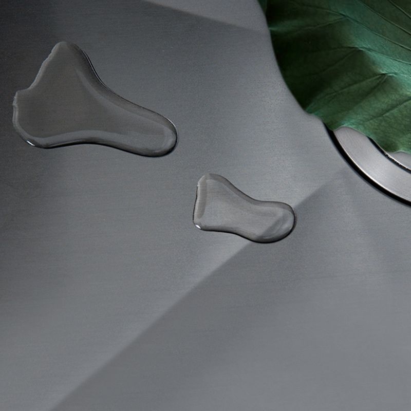 Contemporary Style Kitchen Sink Dirt Resistant Drop-In Kitchen Sink with Drain Assembly Clearhalo 'Home Improvement' 'home_improvement' 'home_improvement_kitchen_sinks' 'Kitchen Remodel & Kitchen Fixtures' 'Kitchen Sinks & Faucet Components' 'Kitchen Sinks' 'kitchen_sinks' 1200x1200_5778b3e3-2586-4bdf-b6c3-eb2bc8f426dc