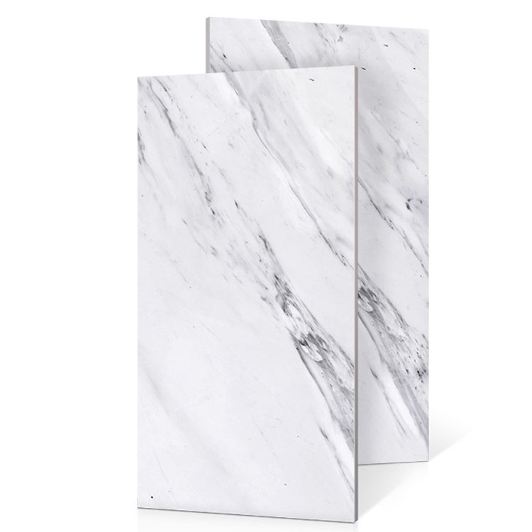 Rectangle Floor Tile Straight Edge Polished Marbling Singular Tile Clearhalo 'Floor Tiles & Wall Tiles' 'floor_tiles_wall_tiles' 'Flooring 'Home Improvement' 'home_improvement' 'home_improvement_floor_tiles_wall_tiles' Walls and Ceiling' 1200x1200_577f8c9e-bb47-4255-9c7b-c28f16208cf1