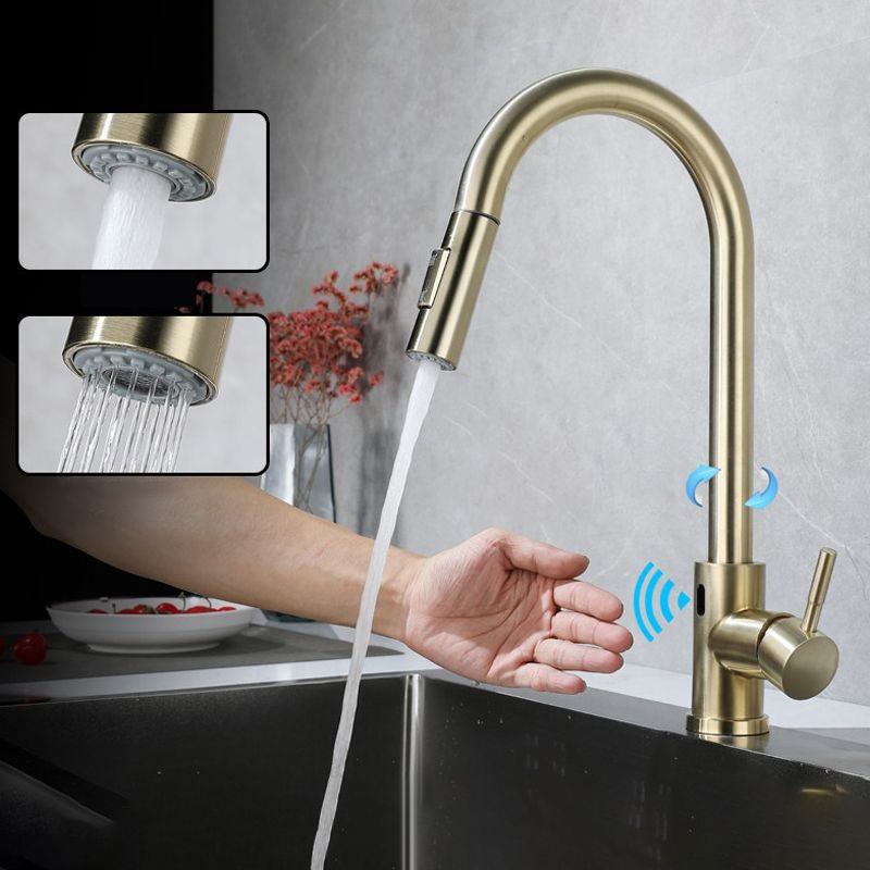 Pull Down Sprayer Bar Kitchen 1-Hole Kitchen Faucet with Supply Lines Clearhalo 'Home Improvement' 'home_improvement' 'home_improvement_kitchen_faucets' 'Kitchen Faucets' 'Kitchen Remodel & Kitchen Fixtures' 'Kitchen Sinks & Faucet Components' 'kitchen_faucets' 1200x1200_588fa7f7-70a5-4089-8fa7-ccb646c9f65e