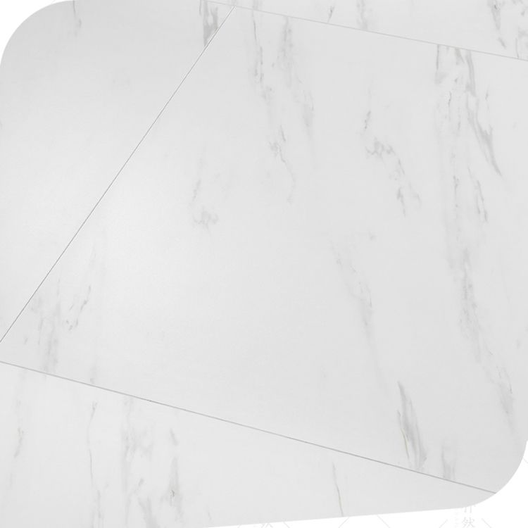 Industry Style Flooring Ceramic Marble Rectangular Indoor Waterproof Flooring Clearhalo 'Flooring 'Home Improvement' 'home_improvement' 'home_improvement_laminate_flooring' 'Laminate Flooring' 'laminate_flooring' Walls and Ceiling' 1200x1200_59b103f7-3e2c-4594-aec2-d25f59f146a8