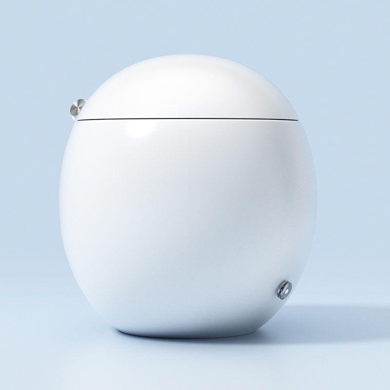 White Egg Shaped Electronic Elongated Toilet Floor Standing Bidet Clearhalo 'Bathroom Remodel & Bathroom Fixtures' 'Bidets' 'Home Improvement' 'home_improvement' 'home_improvement_bidets' 'Toilets & Bidets' 1200x1200_59e40886-1c5a-45ac-9321-004155d6b995