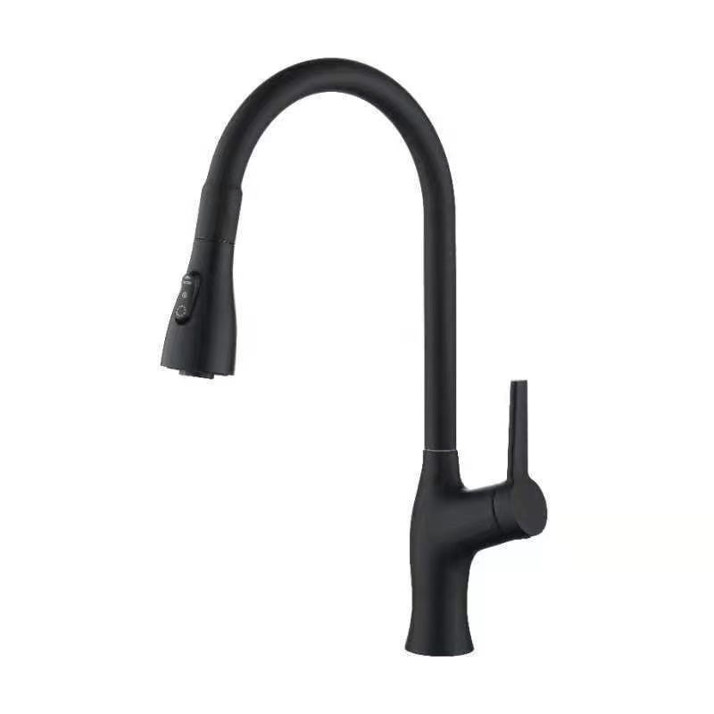 1-Handle Faucets Pull down Copper with Water Dispenser Standard Kitchen Faucets Clearhalo 'Home Improvement' 'home_improvement' 'home_improvement_kitchen_faucets' 'Kitchen Faucets' 'Kitchen Remodel & Kitchen Fixtures' 'Kitchen Sinks & Faucet Components' 'kitchen_faucets' 1200x1200_5a202208-b87c-4a77-9210-478d433d38a8