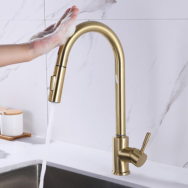 Modern 1-Handle Faucets Stainless Steel Gooseneck with Pull Out Sprayer Faucets Clearhalo 'Home Improvement' 'home_improvement' 'home_improvement_kitchen_faucets' 'Kitchen Faucets' 'Kitchen Remodel & Kitchen Fixtures' 'Kitchen Sinks & Faucet Components' 'kitchen_faucets' 1200x1200_5a371eed-9806-440e-8b50-9c583f637c55