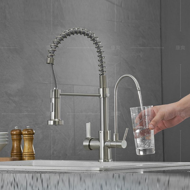 Modern Spring Spout Kitchen Faucet 2-Handle Bar Faucet with 2-Dispenser Clearhalo 'Home Improvement' 'home_improvement' 'home_improvement_kitchen_faucets' 'Kitchen Faucets' 'Kitchen Remodel & Kitchen Fixtures' 'Kitchen Sinks & Faucet Components' 'kitchen_faucets' 1200x1200_5a3a28a7-cd85-4c85-9cdc-ccc7a5d2c77b