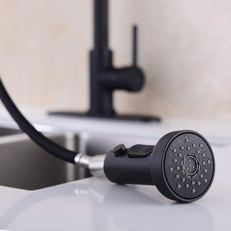 Modern Farmhouse Spring Spout One Handle Kitchen Standard Faucet High Arch Water Filler Clearhalo 'Home Improvement' 'home_improvement' 'home_improvement_kitchen_faucets' 'Kitchen Faucets' 'Kitchen Remodel & Kitchen Fixtures' 'Kitchen Sinks & Faucet Components' 'kitchen_faucets' 1200x1200_5a6317d5-4b8a-4c5f-a916-a00af26b6e73