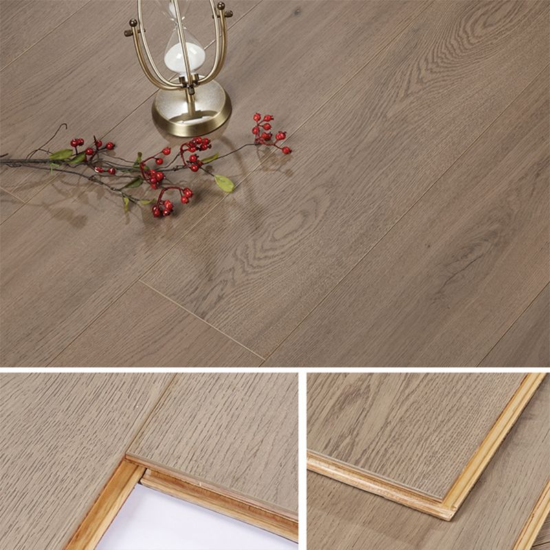 Contemporary Style Laminate Solid Wood Laminate Plank Flooring Clearhalo 'Flooring 'Home Improvement' 'home_improvement' 'home_improvement_laminate_flooring' 'Laminate Flooring' 'laminate_flooring' Walls and Ceiling' 1200x1200_5b0ea529-22fc-474e-9586-262c6563777a