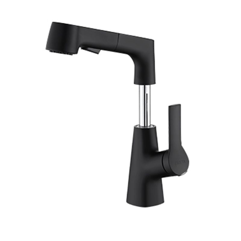 Swivel Spout Sink Faucet Brass Bathroom Low Arc Lifting Faucet Clearhalo 'Bathroom Remodel & Bathroom Fixtures' 'Bathroom Sink Faucets' 'Bathroom Sinks & Faucet Components' 'bathroom_sink_faucets' 'Home Improvement' 'home_improvement' 'home_improvement_bathroom_sink_faucets' 1200x1200_5b88e66d-f232-4017-b81a-ccdbfa0a71ed