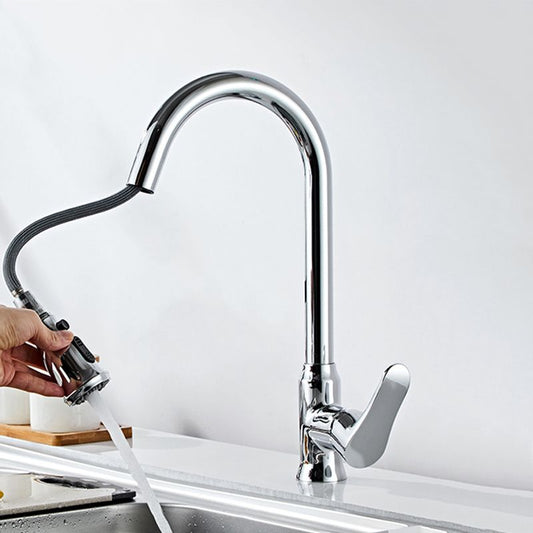 Modern 1-Handle Faucet with Pull out Sprayer 304 Stainless Steel Gooseneck Faucet Clearhalo 'Home Improvement' 'home_improvement' 'home_improvement_kitchen_faucets' 'Kitchen Faucets' 'Kitchen Remodel & Kitchen Fixtures' 'Kitchen Sinks & Faucet Components' 'kitchen_faucets' 1200x1200_5ca27a6c-572e-4ba3-842a-71c16727715f