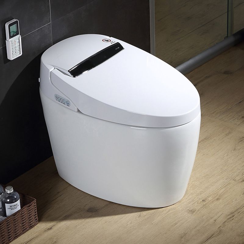 Elongated All-in-One Floor Standing Bidet with Unlimited Warm Water Clearhalo 'Bathroom Remodel & Bathroom Fixtures' 'Bidets' 'Home Improvement' 'home_improvement' 'home_improvement_bidets' 'Toilets & Bidets' 1200x1200_5d604415-a3f7-4319-96db-66a2052d4074