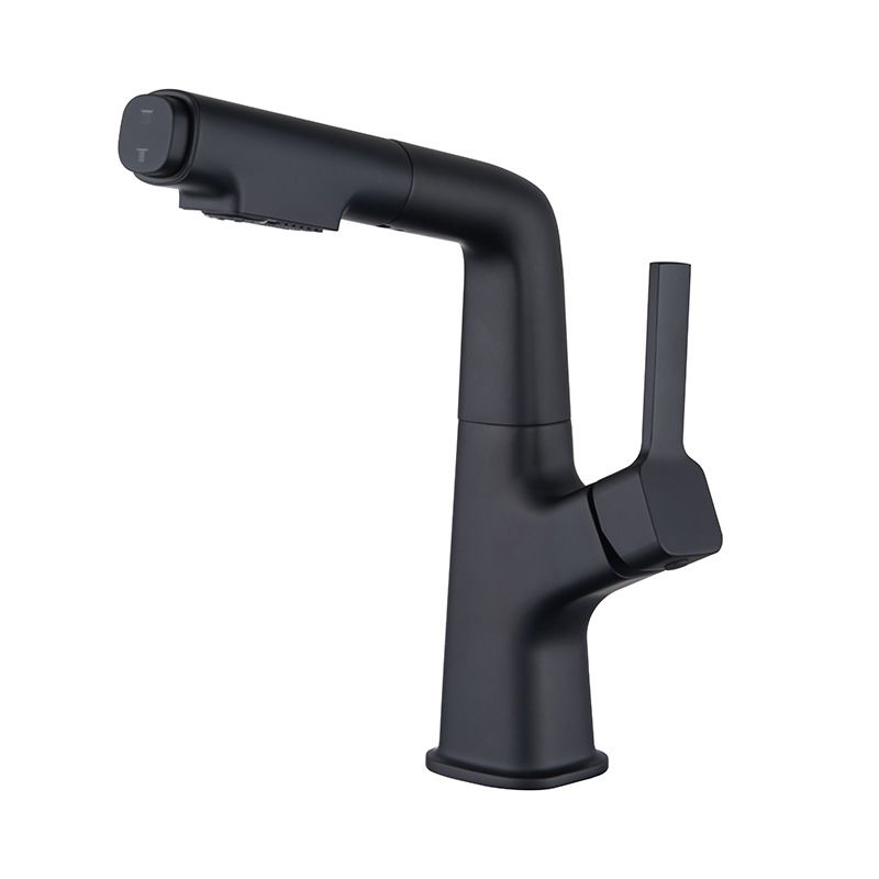 Modern Style Retractable Faucet Copper Single Handle Faucet for Kitchen Clearhalo 'Home Improvement' 'home_improvement' 'home_improvement_kitchen_faucets' 'Kitchen Faucets' 'Kitchen Remodel & Kitchen Fixtures' 'Kitchen Sinks & Faucet Components' 'kitchen_faucets' 1200x1200_5e9fdec3-c021-4d3d-b8cf-3f0b2b4a7d98