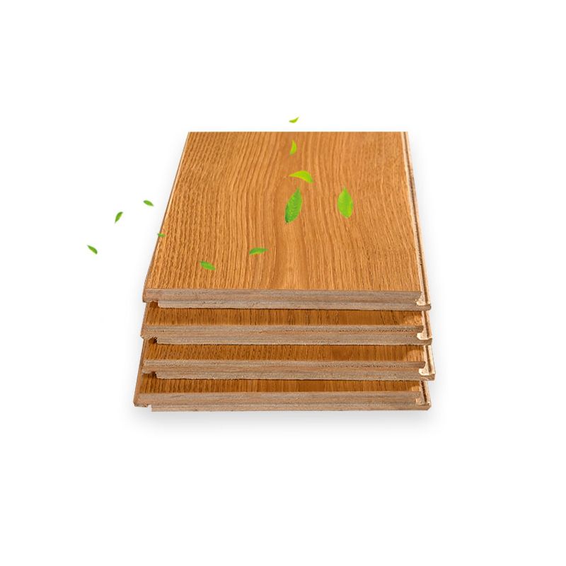 Stain Resistant Laminate Flooring Solid Wood Laminate for Home Clearhalo 'Flooring 'Home Improvement' 'home_improvement' 'home_improvement_laminate_flooring' 'Laminate Flooring' 'laminate_flooring' Walls and Ceiling' 1200x1200_5fa483cb-8456-4a2e-98d9-d0c69d9084ee