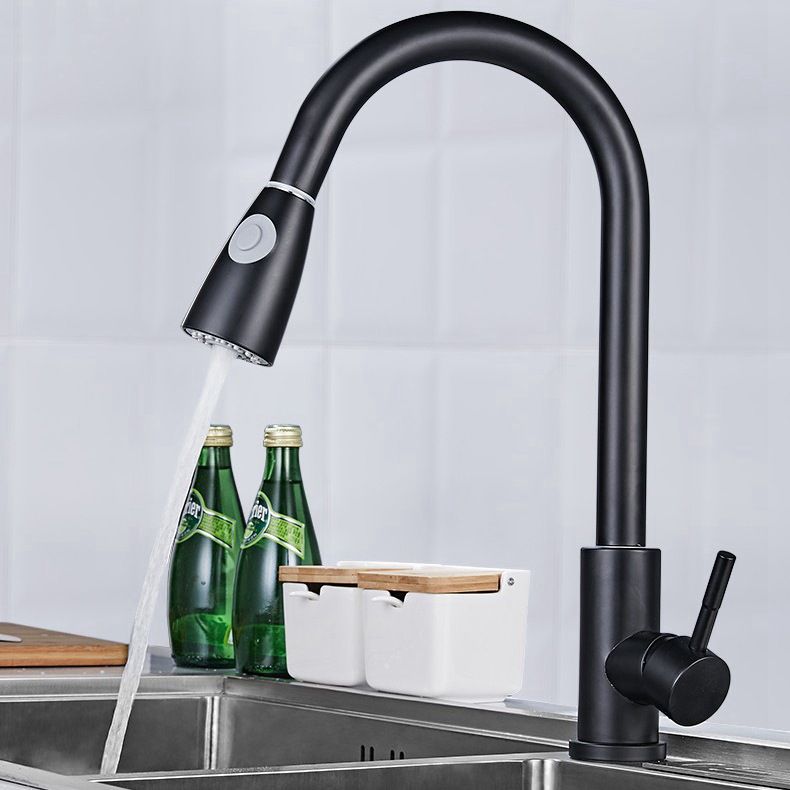 Modern 1-Handle Faucet 304 Stainless Steel with Water Dispenser Pull down Faucet Clearhalo 'Home Improvement' 'home_improvement' 'home_improvement_kitchen_faucets' 'Kitchen Faucets' 'Kitchen Remodel & Kitchen Fixtures' 'Kitchen Sinks & Faucet Components' 'kitchen_faucets' 1200x1200_5fa491ec-dc8f-464e-b18b-ba4493f8196d